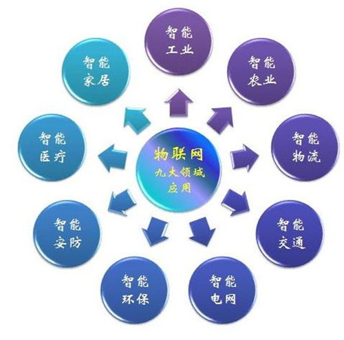 萬(wàn)物互聯(lián)的智慧世界 解析物聯(lián)網(wǎng)領(lǐng)域、最新動(dòng)態(tài)及其技術(shù)服務(wù)